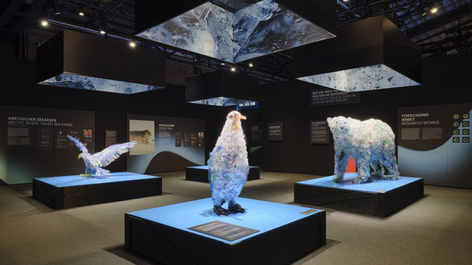 Photo_Polar_Experience_-_LebensraumTier_Credit_Christoph_Musiol