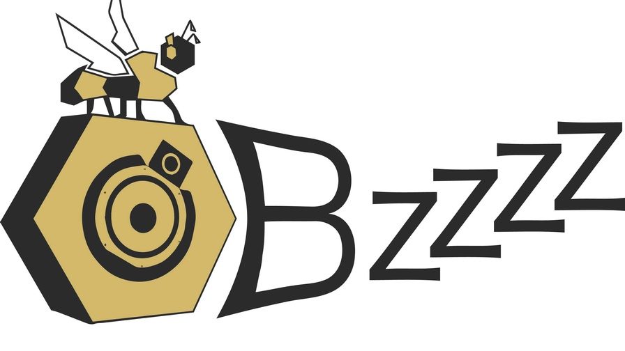 bzzzz-logo-banner